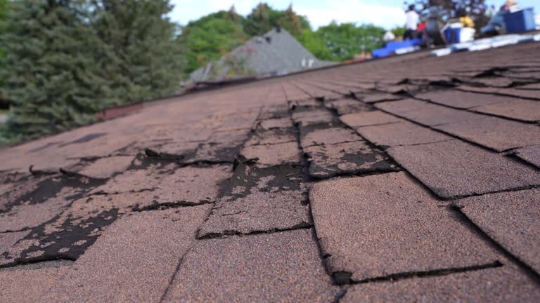 Hot Roofs in Bloomfield, NY